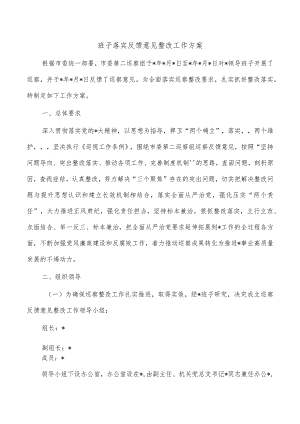 班子落实反馈意见整改工作方案.docx