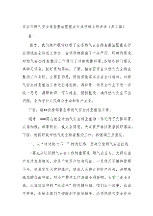 在全市燃气安全排查整治暨重点行业领域上的讲话(共二篇).docx