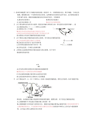 2023冲刺复习---神经调节.docx