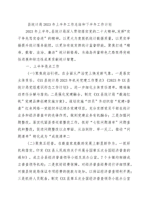 县统计局2023年上半年工作总结和下半年工作计划.docx