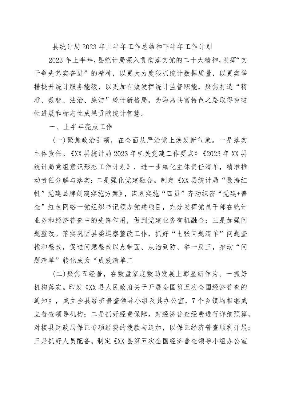 县统计局2023年上半年工作总结和下半年工作计划.docx_第1页