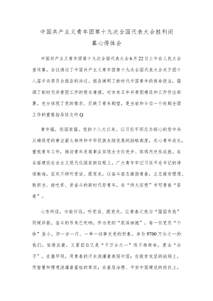 中国共产主义青年团第十九次全国代表大会胜利闭幕心得体会.docx