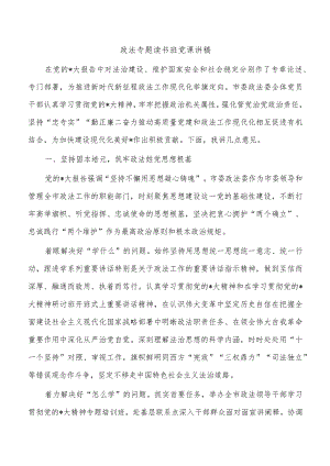 政法专题读书班党课讲稿.docx