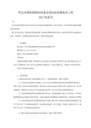 罗定市泗纶镇铁陆村委金钱坑村道硬底化工程用户需求书.docx