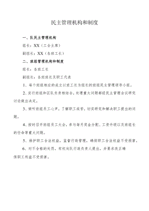 民主管理机构和制度.docx