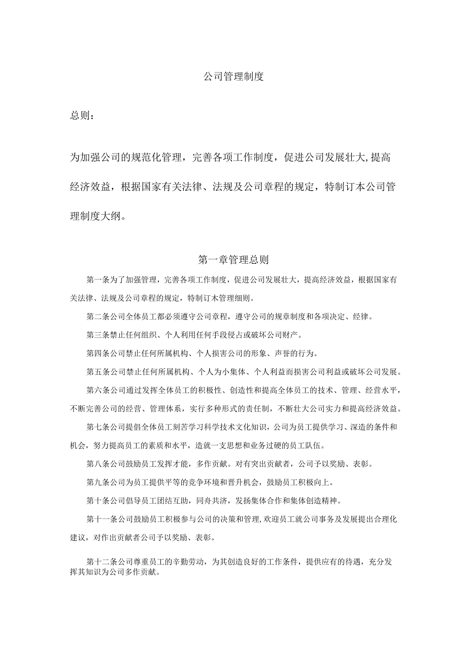 通用公司管理制度02公司管理制度.docx_第1页