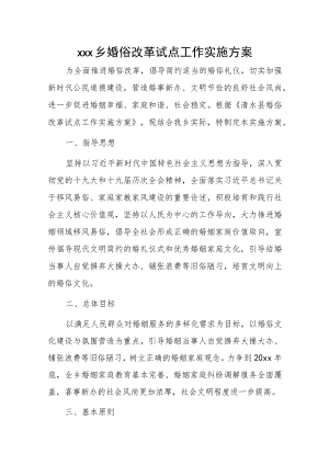 xxx乡婚俗改革试点工作实施方案.docx