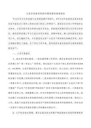 文旅系统基层党组织建设情况排查报告.docx