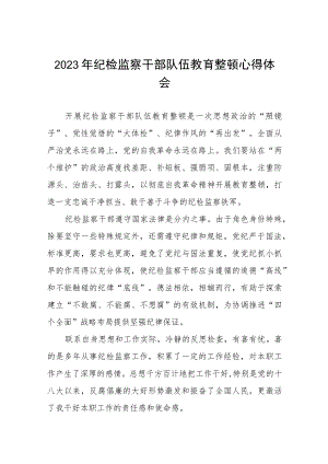 关于2023年纪检监察干部队伍教育整顿活动的心得体会两篇.docx