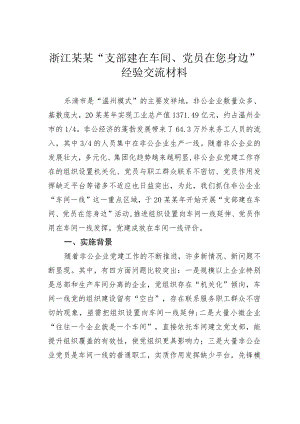 浙江某某“支部建在车间、党员在您身边” 经验交流材料.docx