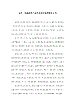 在第一批主题教育工作座谈会上的发言2篇.docx