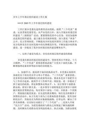 乡年上半年基层组织建设工作汇报.docx