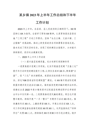 某乡镇2023年上半年工作总结和下半年工作计划.docx