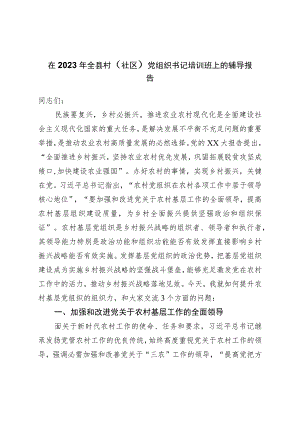 在2023年全县村党组织书记培训班上的辅导报告.docx