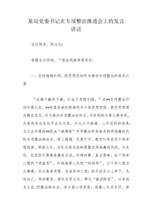 某局党委书记在专项整治推进会上的发言讲话.docx