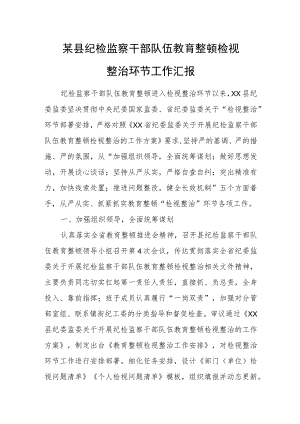 某县纪检监察干部队伍教育整顿检视整治环节工作汇报.docx