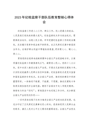 2023全国纪检监察干部队伍教育整顿教育活动的心得体会范文两篇.docx