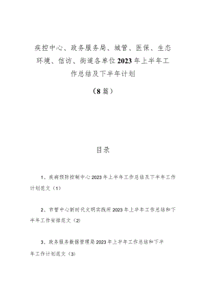 （8篇）疾控中心、政务服务局、城管、医保、生态环境、信访、街道各单位2023年上半年工作总结及下半年计划.docx