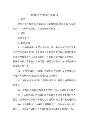 燃气锅炉专项应急预案 篇12.docx