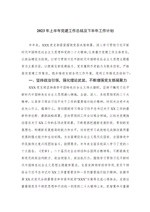 2023年上半年党建工作总结及下半年工作计划(精选10篇汇编).docx