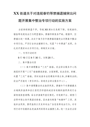 XX街道关于对违规垂钓等禁捕退捕突出问题开展集中整治专项行动的实施方案.docx