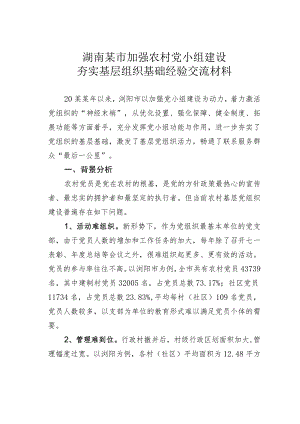 湖南某市加强农村党小组建设夯实基层组织基础经验交流材料.docx