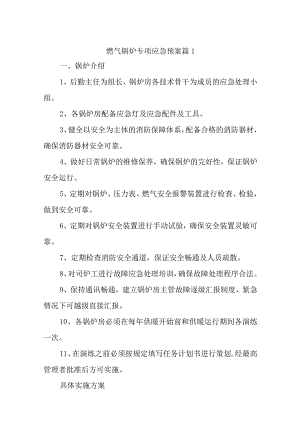 燃气锅炉专项应急预案汇编16篇.docx