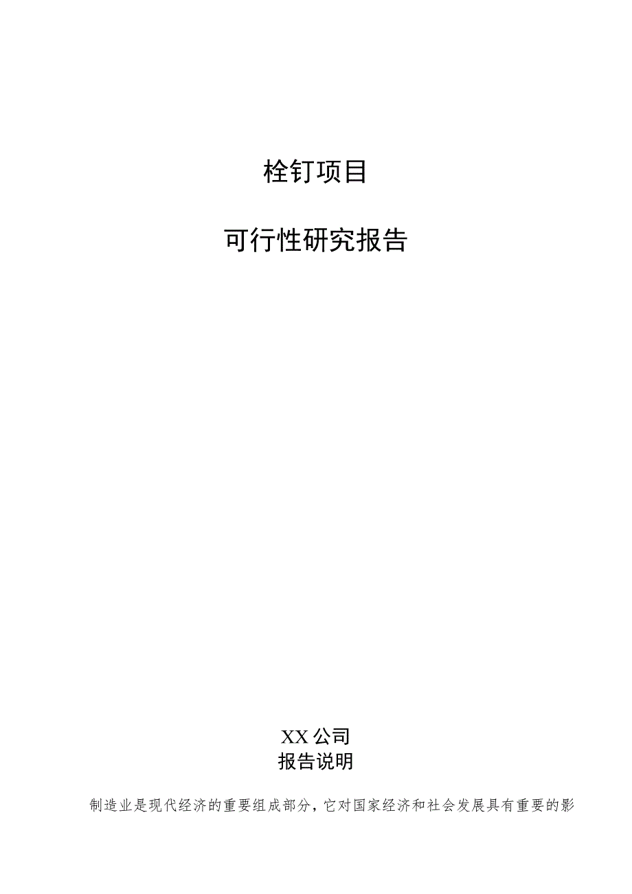 栓钉项目可行性研究报告（范文参考）.docx_第1页