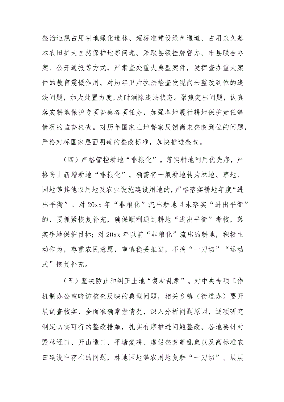 xx县耕地保护专项整治行动实施方案.docx_第3页