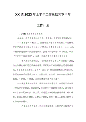 XX镇2023年上半年工作总结和下半年工作计划.docx