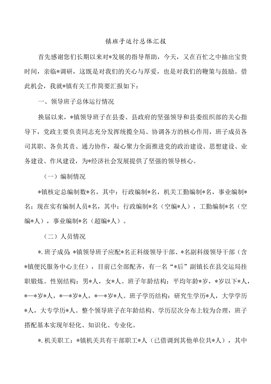 镇班子运行总体汇报.docx_第1页