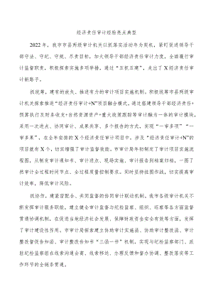 经济责任审计经验亮点典型.docx