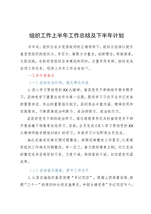 组织工作上半年工作总结及下半年计划.docx