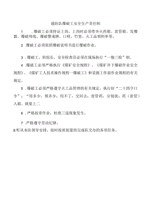 通防队爆破工安全生产责任制.docx