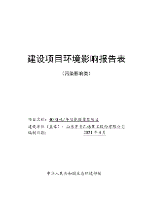 年产4000吨功能膜技改项目环境影响评价报告书.docx