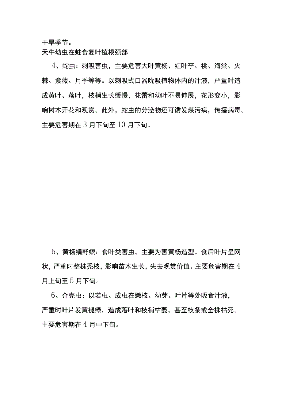 春季园林养护病虫害预测及防治技术要点全.docx_第2页