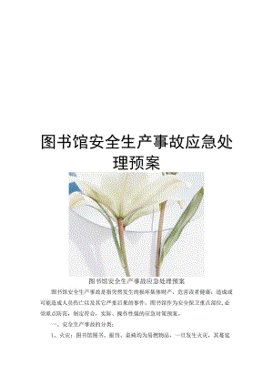 公共场所综合应急预案（汇编2）.docx