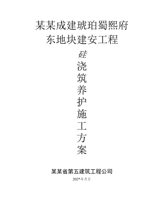 房建砼浇筑养护施工方案.docx