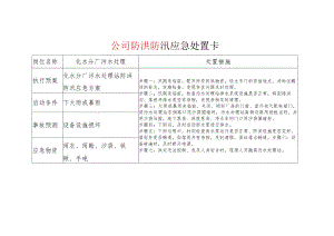 公司防洪防汛应急处置卡范本.docx