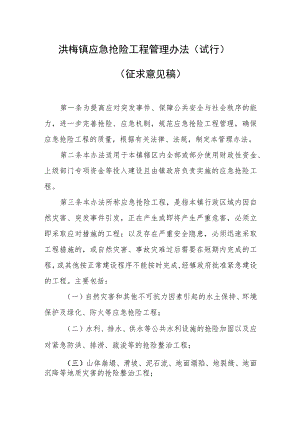 洪梅镇应急抢险工程管理办法（试行）（征求意见稿）.docx