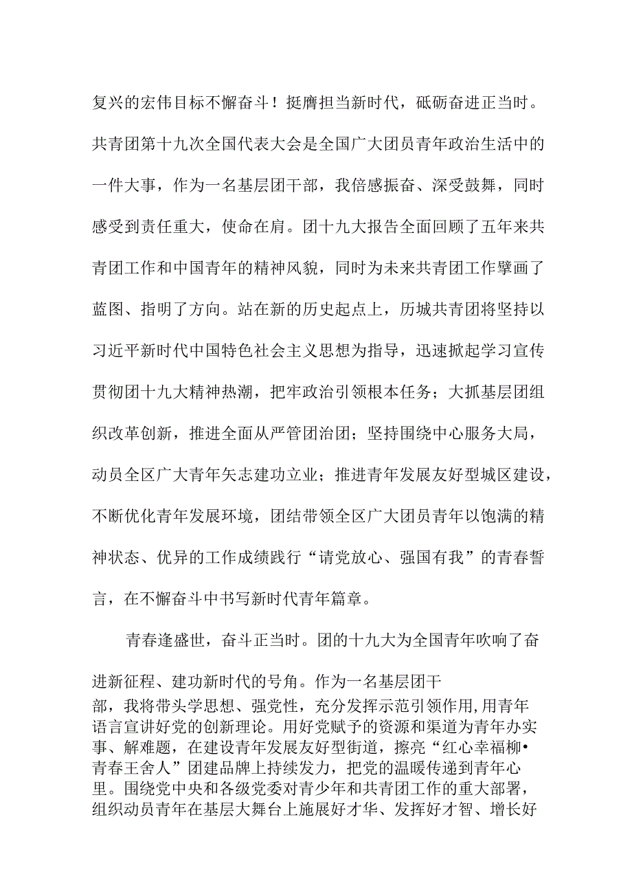 大学辅导员学习贯彻共青团第十九次全国代表大会精神个人心得体会.docx_第2页