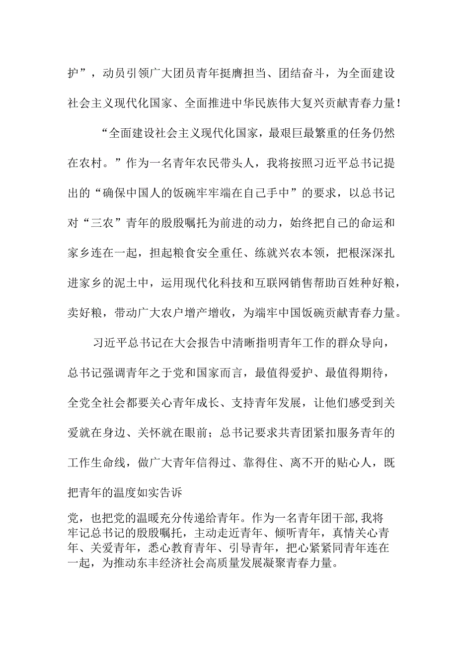 企业团组织学习贯彻共青团第十九次全国代表大会精神个人心得体会 四篇.docx_第2页