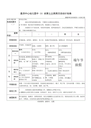 嘉泽中心幼儿园中5班第十六周周日活动计划表.docx