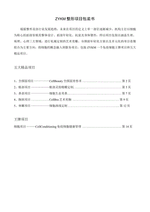 医美整形项目品牌营销包装规划.docx