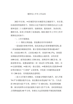 城管局上半年工作总结.docx