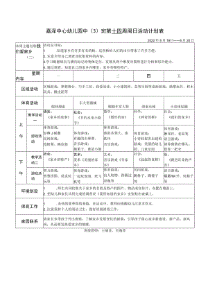 嘉泽中心幼儿园中3班第十四周周日活动计划表.docx