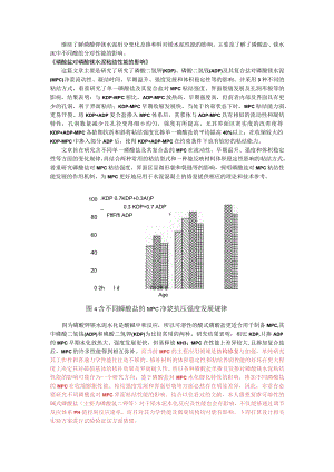 磷酸钾镁水泥组分变化及掺和料对镁水泥性能的影响.docx