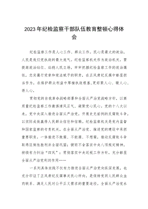 2023年纪检监察干部队伍教育整顿活动学习体会精品六篇合辑.docx