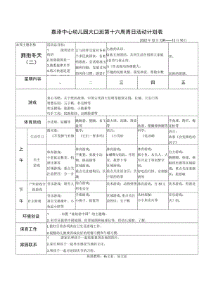 嘉泽中心幼儿园大2班第十六周周日活动计划表.docx