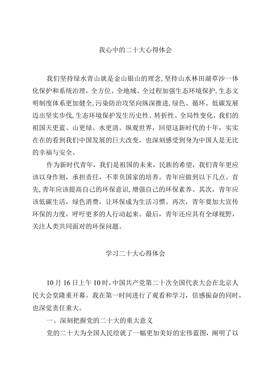 我心中的二十大心得体会精选范文(4篇).docx_第1页